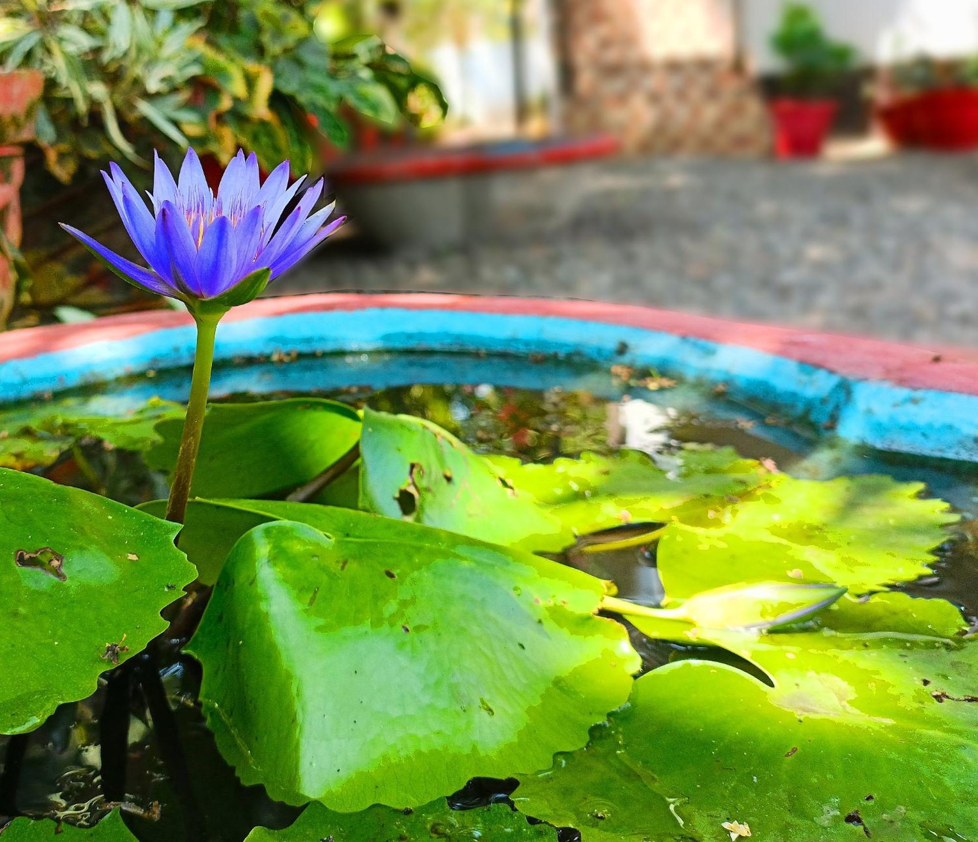Alma Homestay มาราริคุลาม ภายนอก รูปภาพ