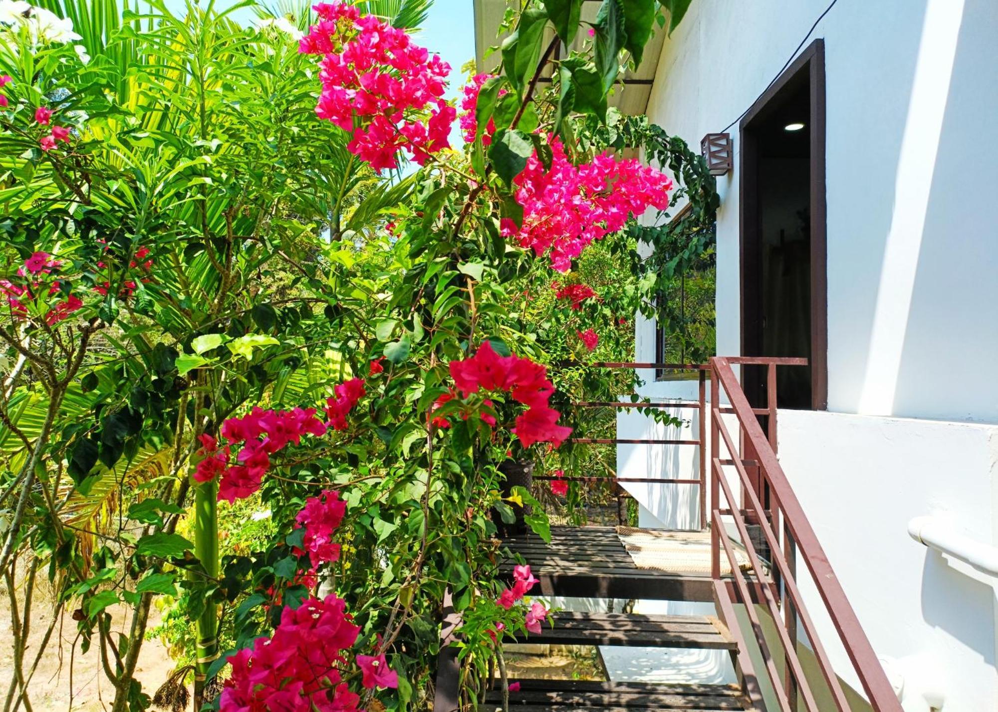 Alma Homestay มาราริคุลาม ภายนอก รูปภาพ